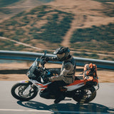 X.WED3 GOLDEN DUNE CARBON GOLD