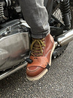 Shoe protector